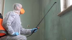 Best Emergency Mold Remediation in Nokomis, IL